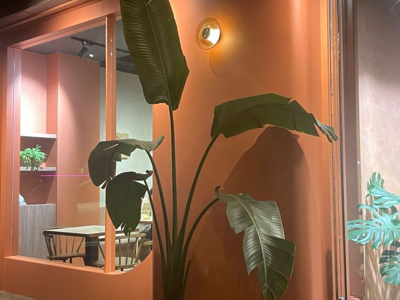 台中最美蔬食餐酒館：TERRA de Verdant（豐土）
