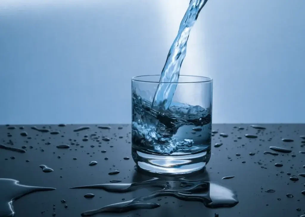 素食與水資源:如何透過飲食保護我們的水源 2 素食與水資源