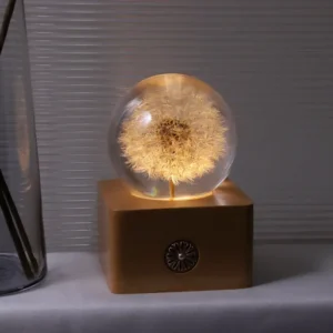 聖誕節交換禮物推薦-唯美浪漫蒲公英夜燈