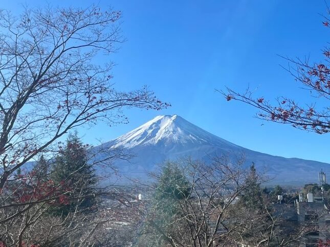 河口湖交通-富士山自由行必看,省錢又快速從東京新宿站到河口湖。高速巴士搭車方式、巴士預約教學 2 IMG 3264 rotated