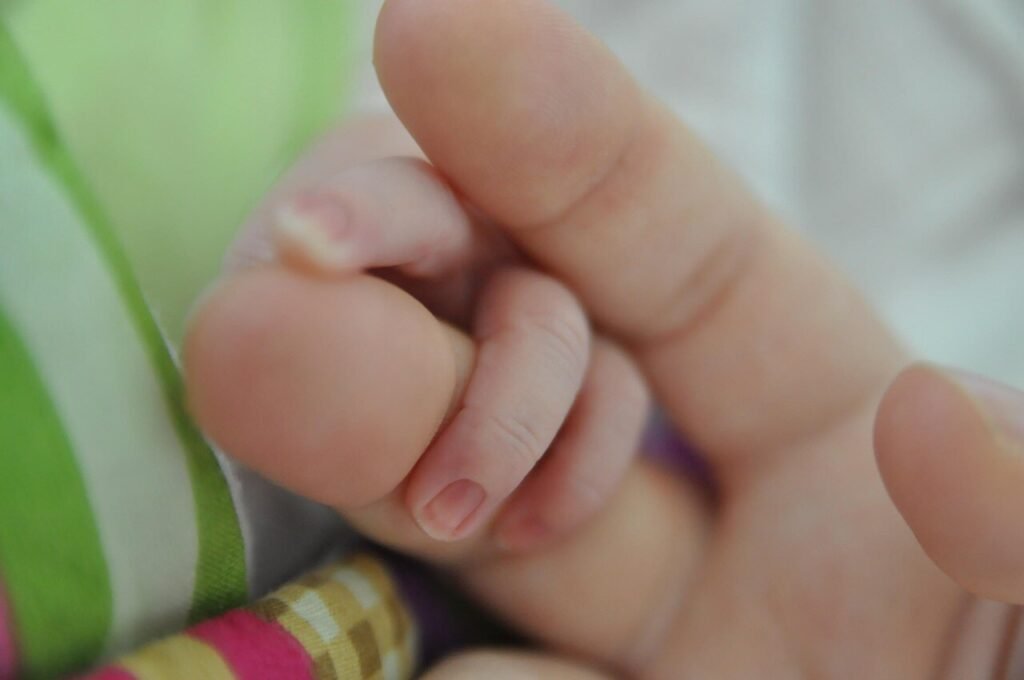 孕婦吃素會營養不足嗎?破解迷思,安心吃對素食! 4 孕婦吃素會營養不足嗎?破解迷思,安心吃對素食!
