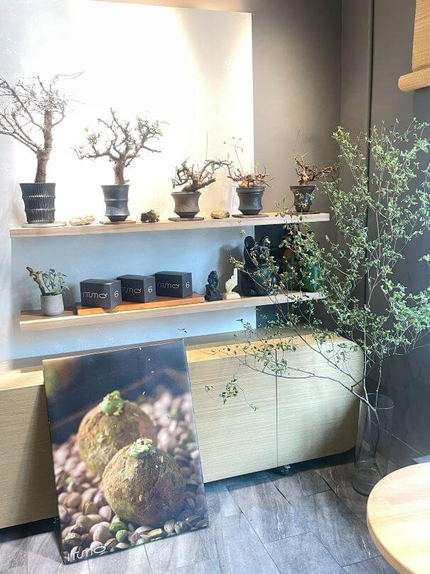 台中甜點推薦|ITUMO 9番:京都感爆棚的日式生甜甜圈專賣店 5 台中甜點推薦|ITUMO 9番:京都感爆棚的日式生甜甜圈專賣店