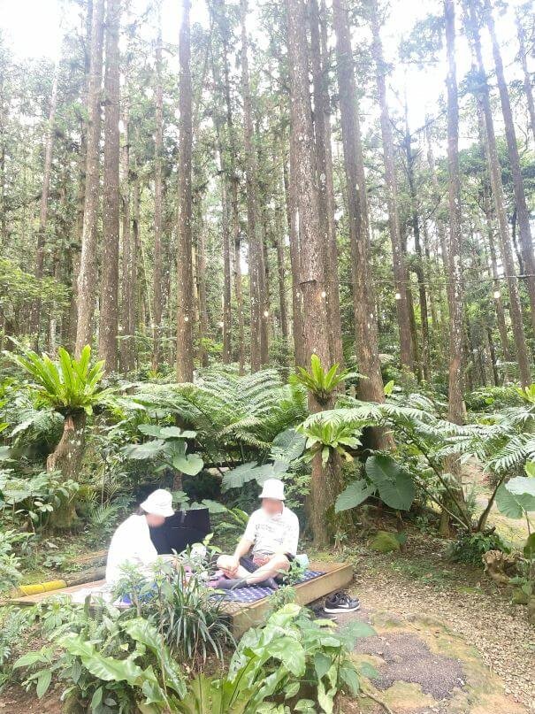 新竹北埔森林系窯烤披薩｜森窯 have a Picnic：野餐、Pizza、森林，素食友善好 Chill！