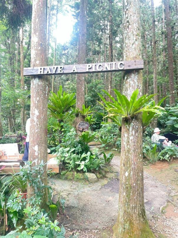 新竹北埔森林系窯烤披薩｜森窯 have a Picnic：野餐、Pizza、森林，素食友善好 Chill！