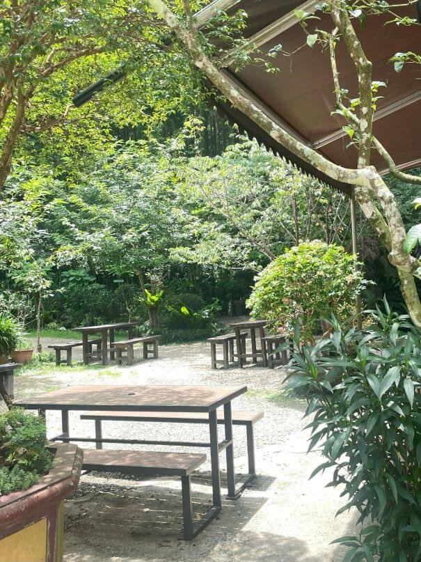 新竹北埔森林系窯烤披薩｜森窯 have a Picnic：野餐、Pizza、森林，素食友善好 Chill！